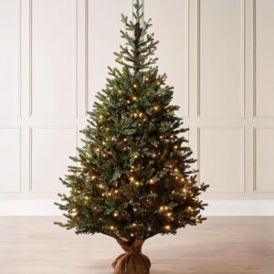 Norway Christmas Tree